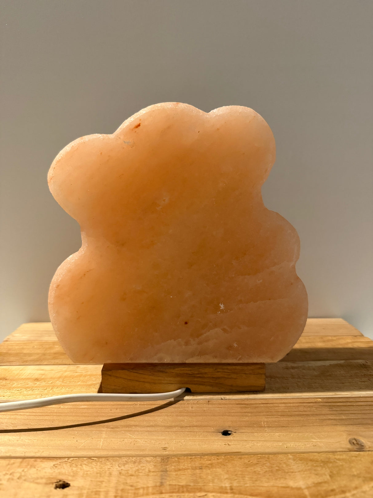 Himalaya Zoutlamp - Beer 3D - incl. kabel & reservelampje