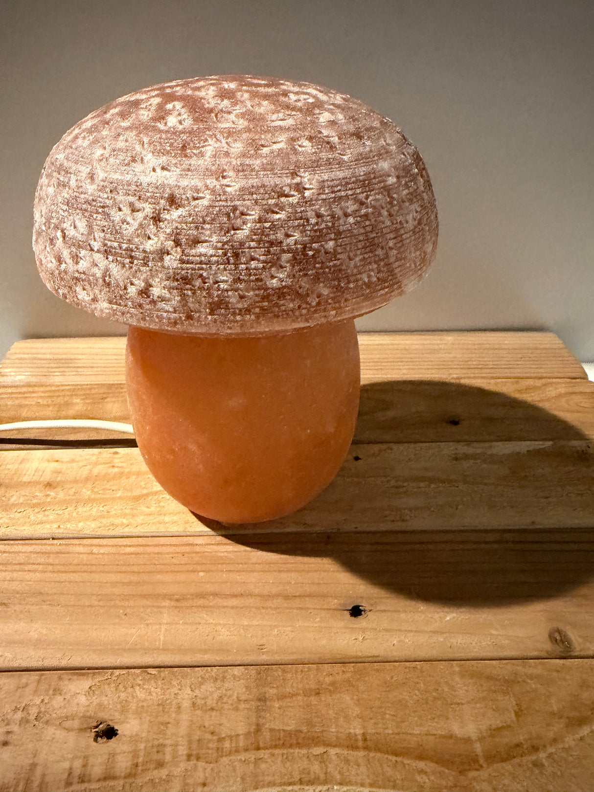 Himalaya Zoutlamp - Paddenstoel - incl. kabel & reservelampje