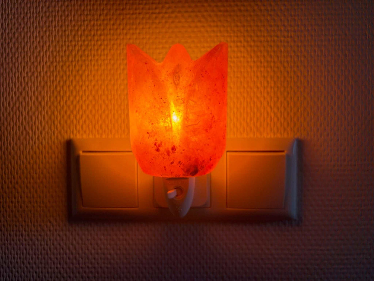 Himalaya zoutsteen nachtlampje in tulpvorm met warm, rustgevend licht voor slaapkamer