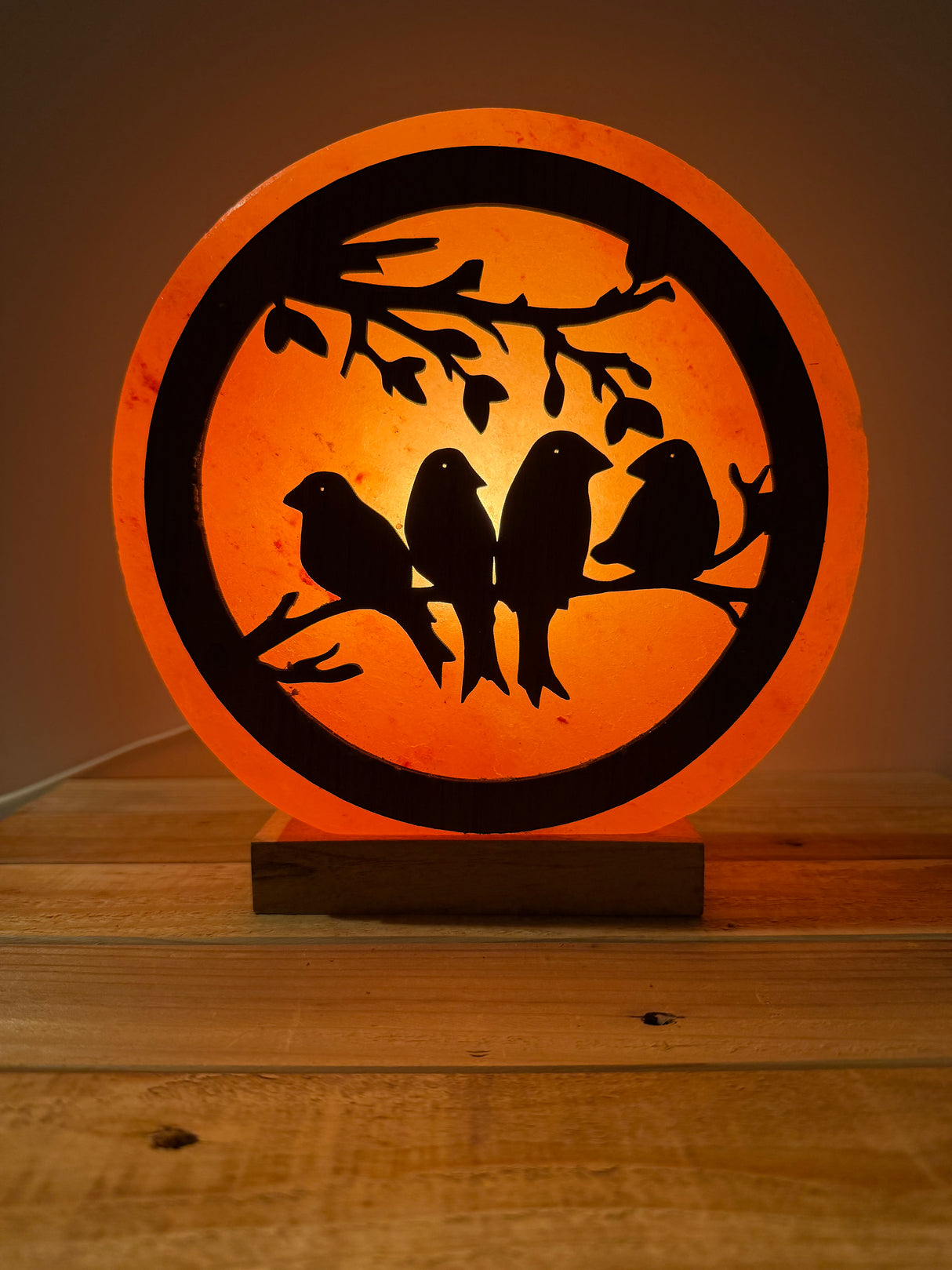 Himalaya Zoutlamp - Vogels 3D - incl. kabel & reservelampje