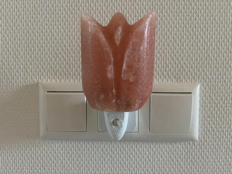 Himalaya zoutsteen nachtlampje tulp, compact, met warm licht, inclusief schakelaar en reservelampje